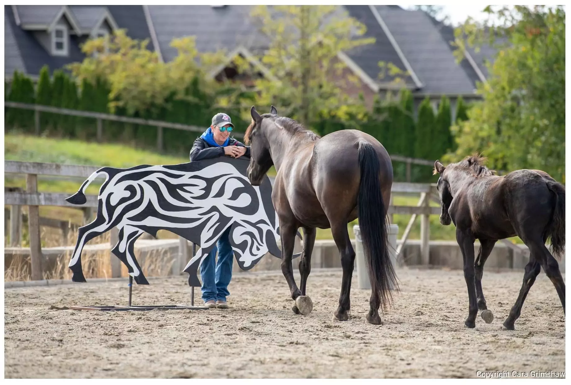 Working Equitation