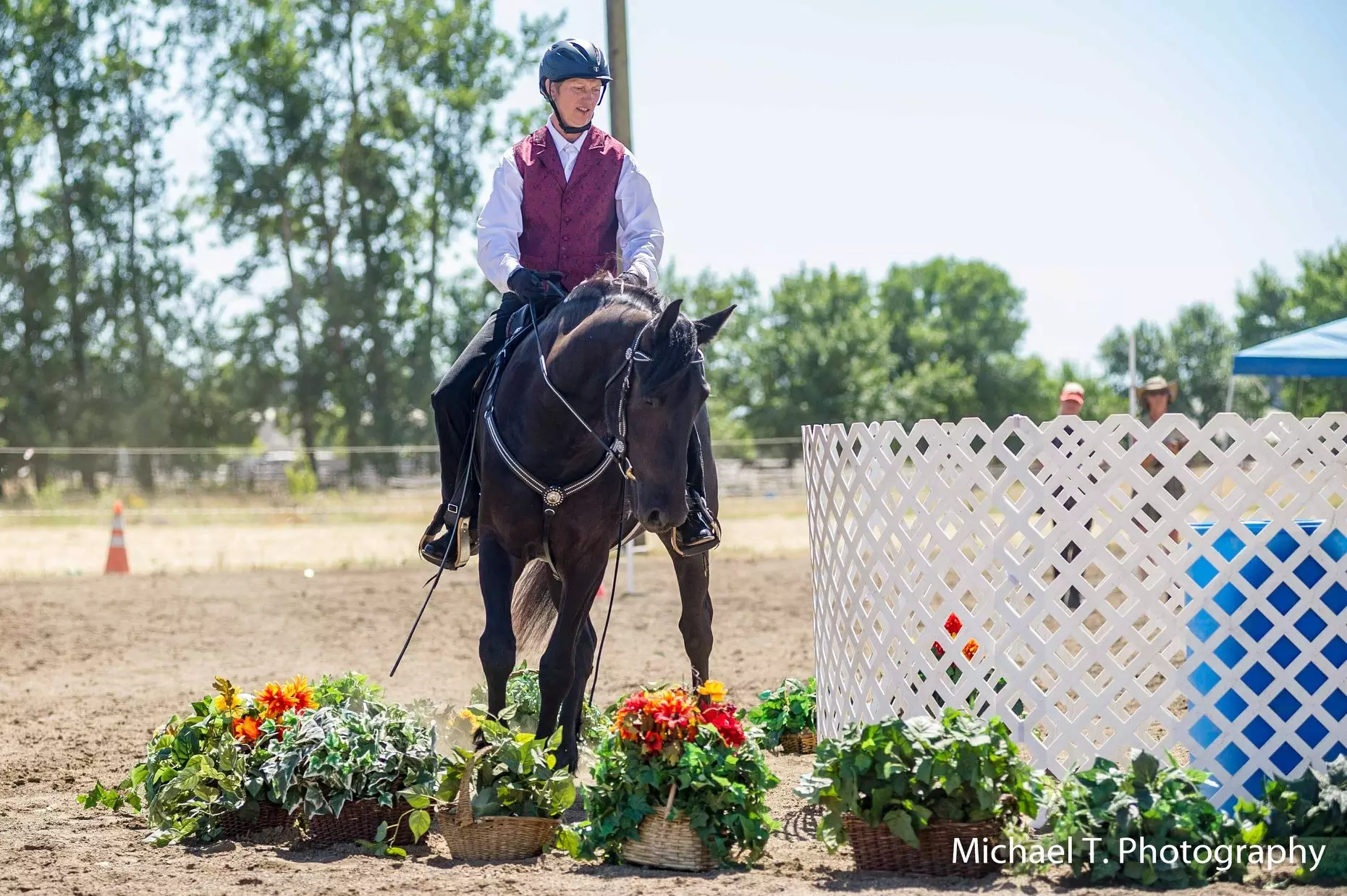 Working Equitation Training - Horse and Rider Partnership